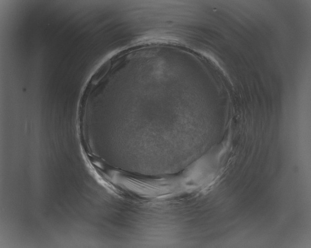 X0000073891038200608251426