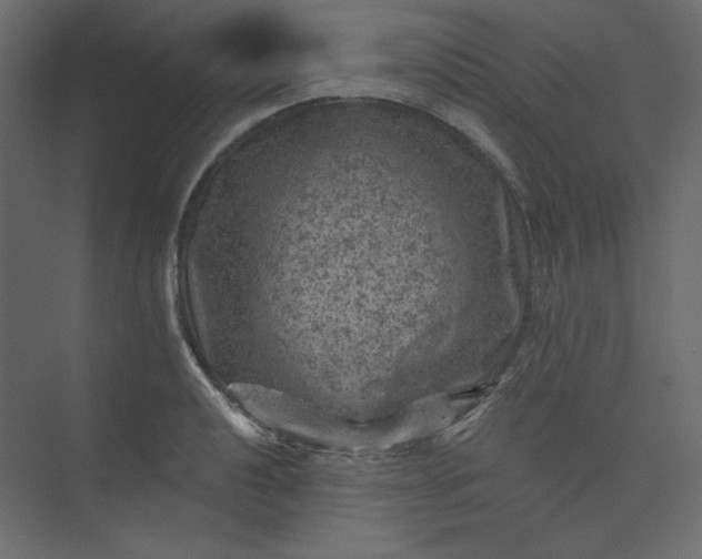 X0000073891040200608251426