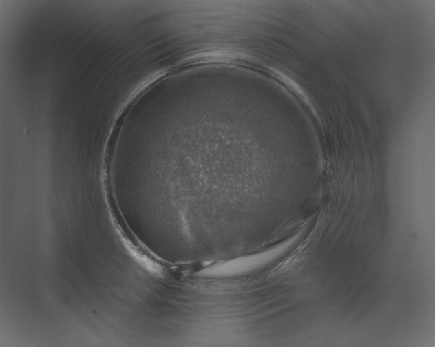 X0000073891042200608251426