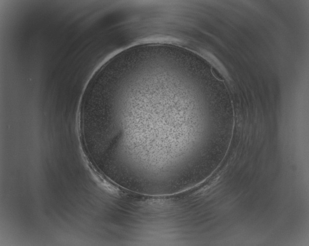 X0000073891044200608251426