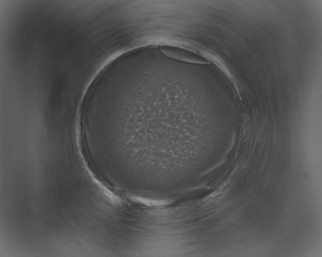 X0000073891048200608251426