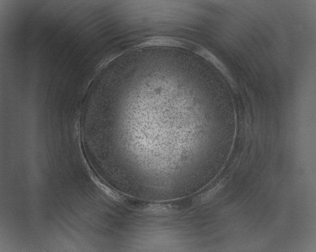 X0000073891049200608251426