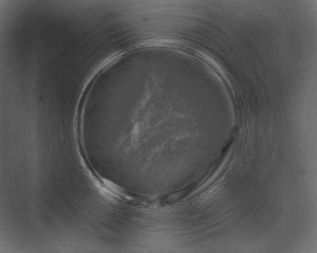 X0000073891050200608251426