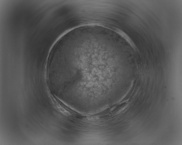 X0000073891052200608251426