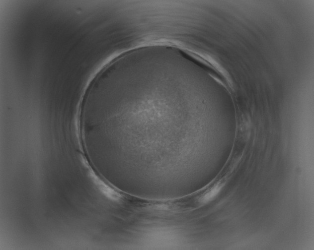 X0000073891054200608251426