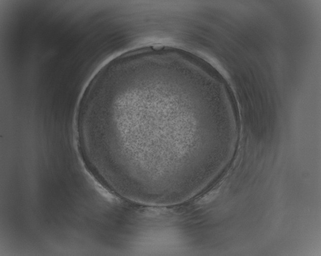 X0000073891056200608251426