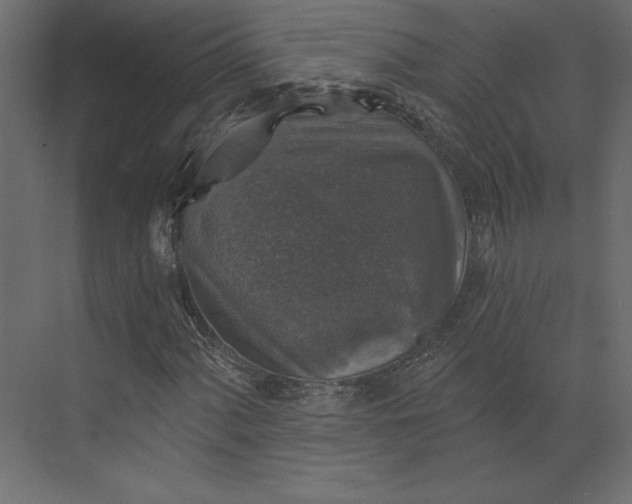 X0000073891060200608251425