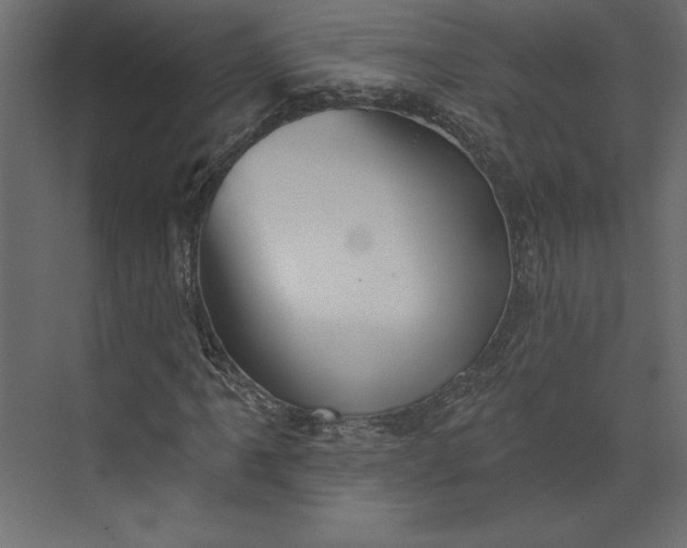 X0000073891061200608251425