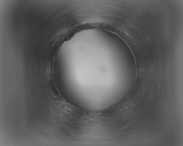 X0000073891062200608251425