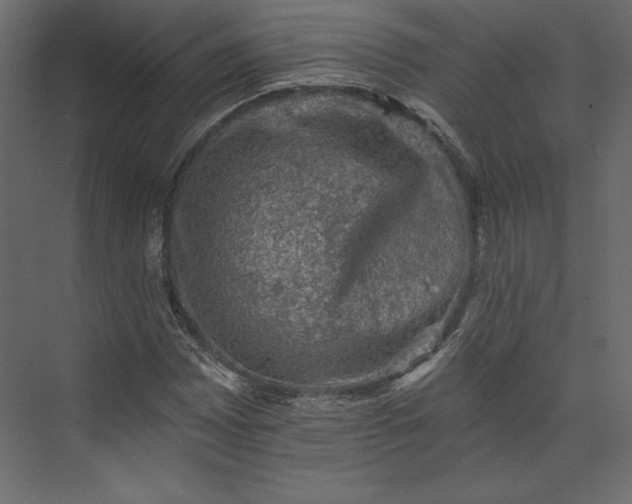 X0000073891065200608251425