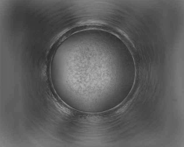 X0000073891066200608251425