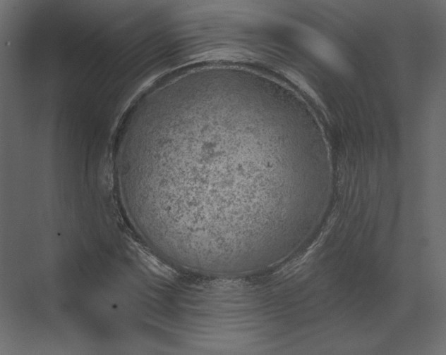 X0000073891067200608251425