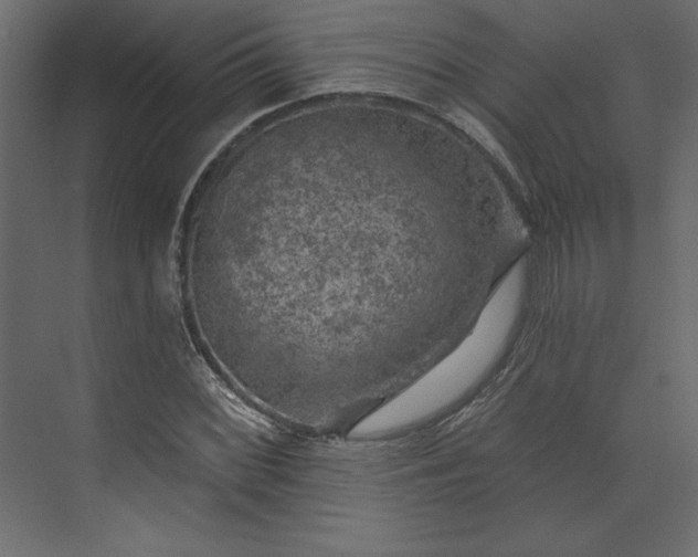 X0000073891068200608251425