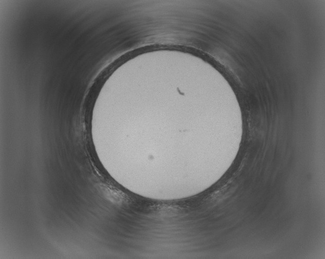 X0000073891070200608251425