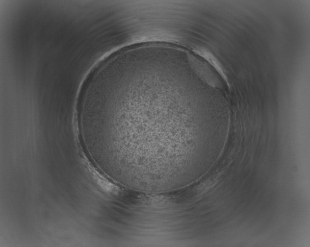 X0000073891072200608251425