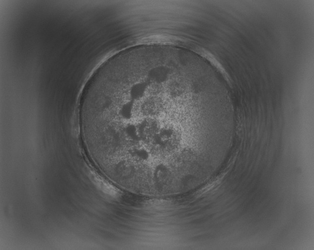 X0000073891075200608251425