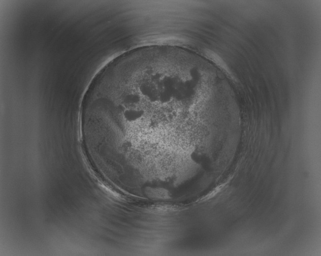 X0000073891079200608251425