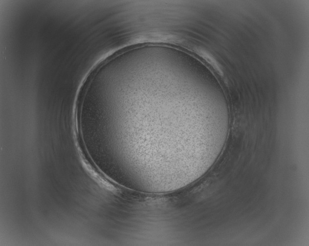 X0000073891080200608251425