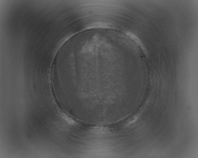 X0000073891081200608251425