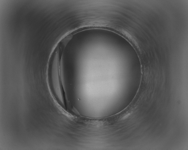 X0000073891085200608251425