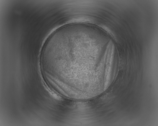 X0000073891086200608251425