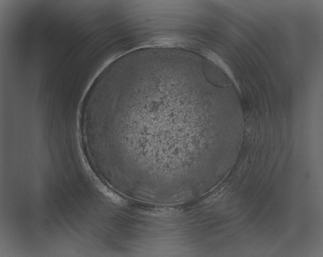 X0000073891091200608251425