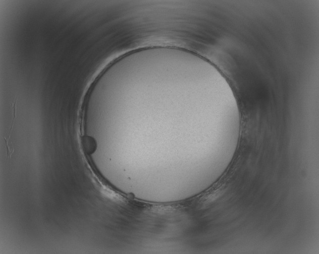 X0000073891094200608251425