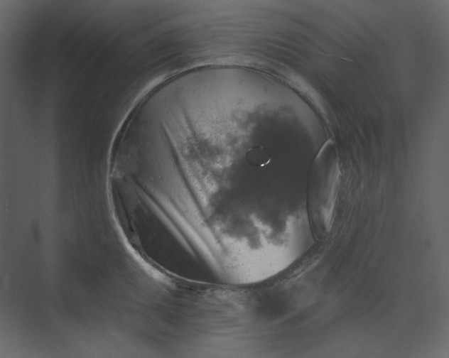 X0000073891095200608251425