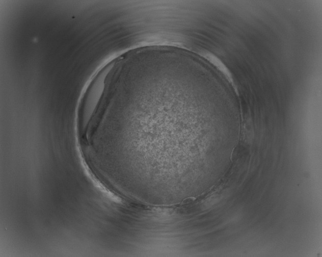 X0000073891096200608251425