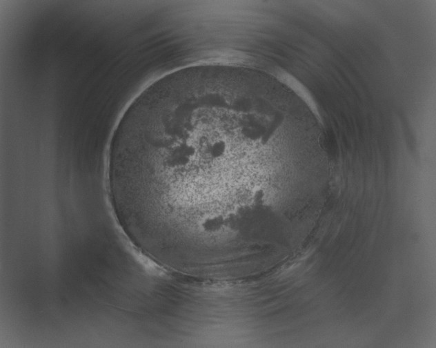 X0000073891099200608251425