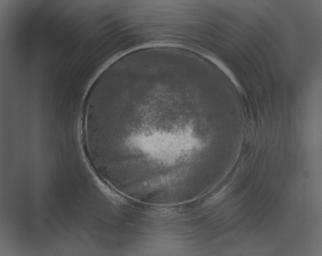 X0000073891101200608251425