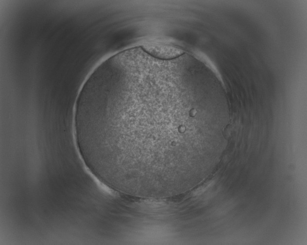 X0000073891103200608251425