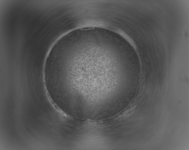 X0000073891104200608251425