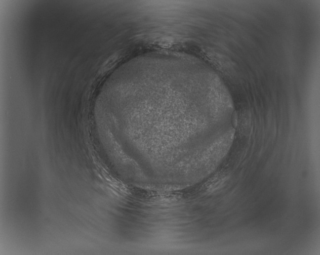 X0000073891105200608251424