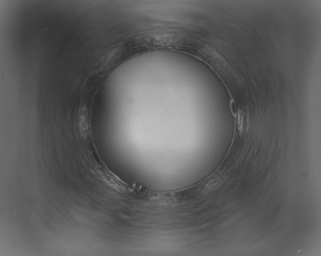 X0000073891107200608251424