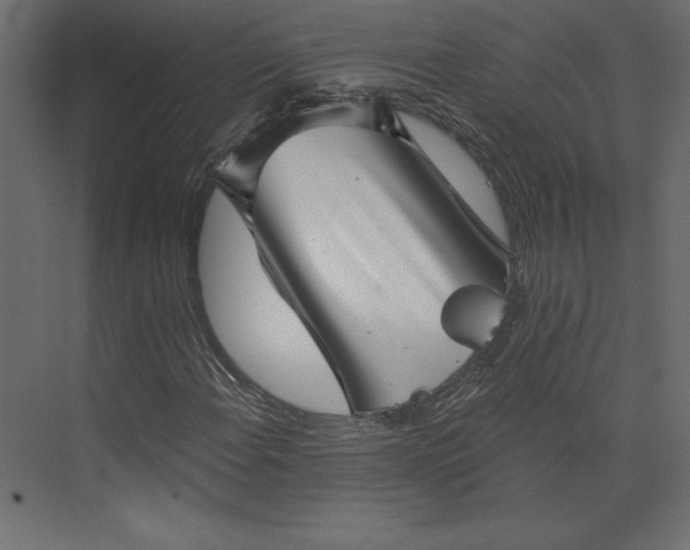 X0000073891108200608251424