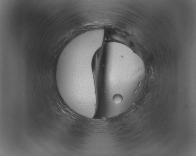 X0000073891110200608251424