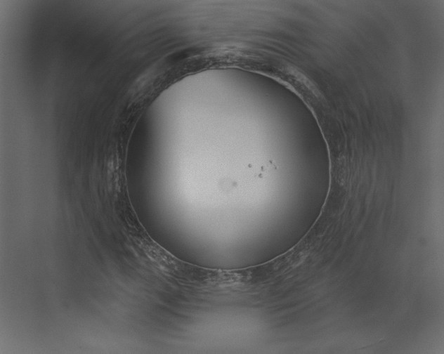 X0000073891111200608251424