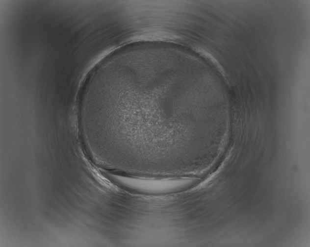 X0000073891114200608251424