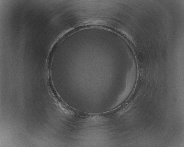 X0000073891117200608251424