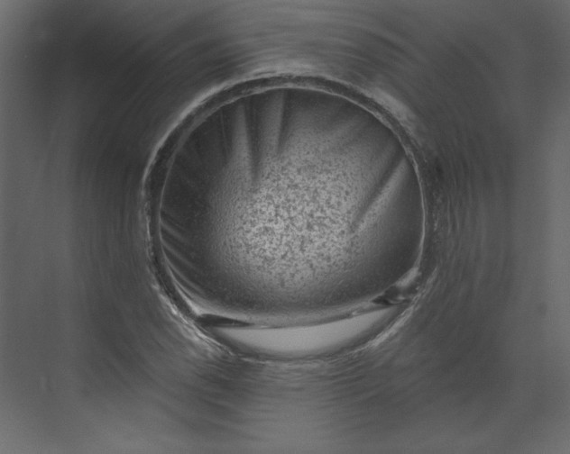 X0000073891118200608251424