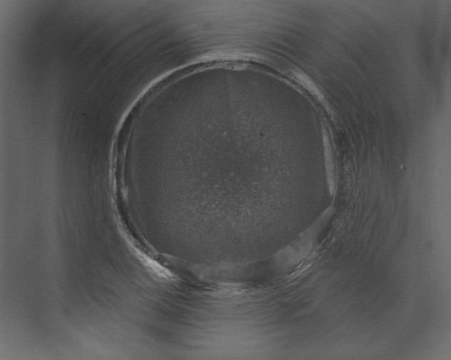 X0000073891124200608251424