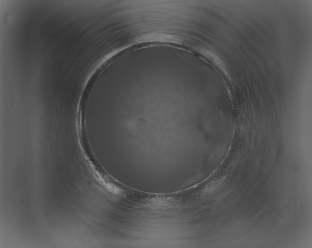 X0000073891125200608251424