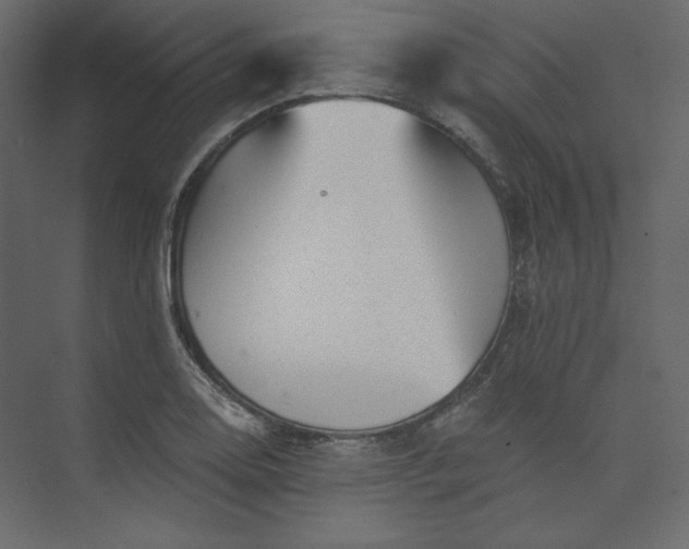 X0000073891130200608251424