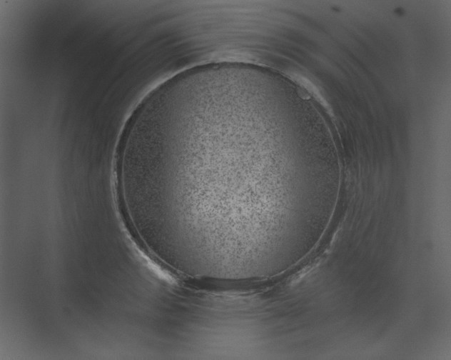 X0000073891133200608251424