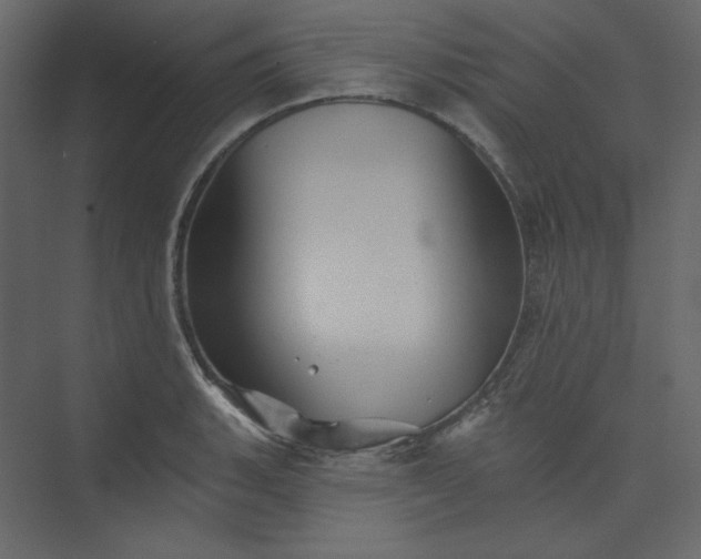 X0000073891135200608251424