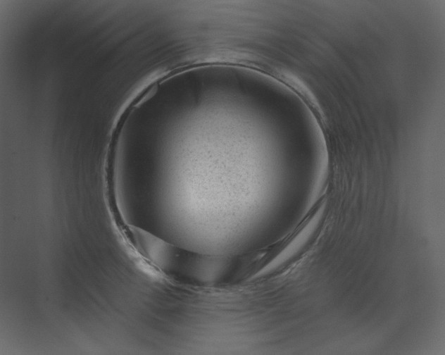 X0000073891138200608251424