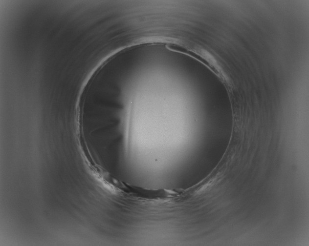 X0000073891140200608251424