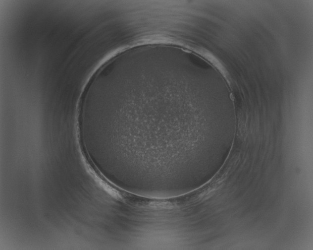 X0000073891142200608251424