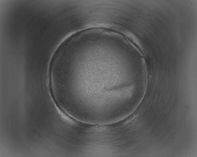 X0000073891143200608251424